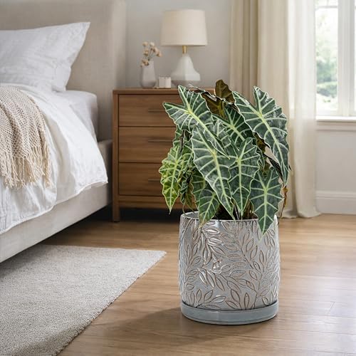 Embossed Leaves Ceramic Planter (10 Inch / Graphite Blue)