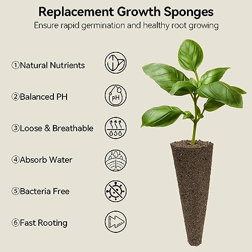 Hydroponics Herb Seed Pod Kit for AeroGarden (7Pods / Herb)