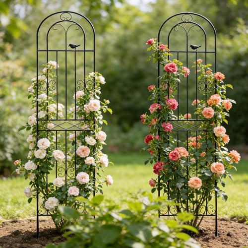 4 Pack 86.7" H x 19.7" WMetal Garden Trellis with Black Coating (86.7" H)
