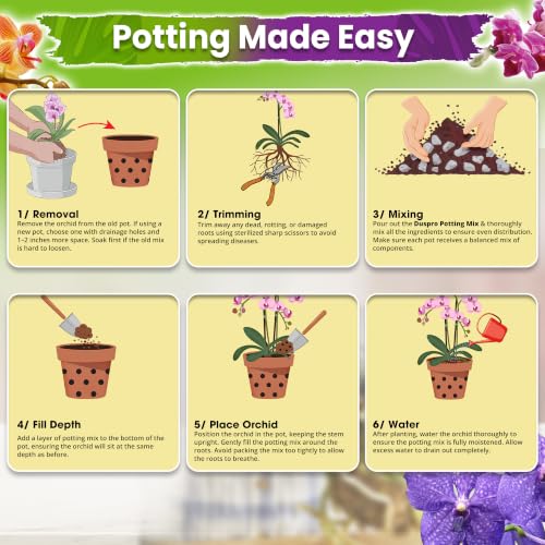 4in1 Orchid Potting Mix For Repotting (Orchid Potting Mix 2 Quarts)