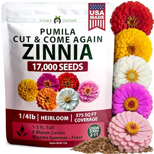 Zinnia Seeds Pumila Mix