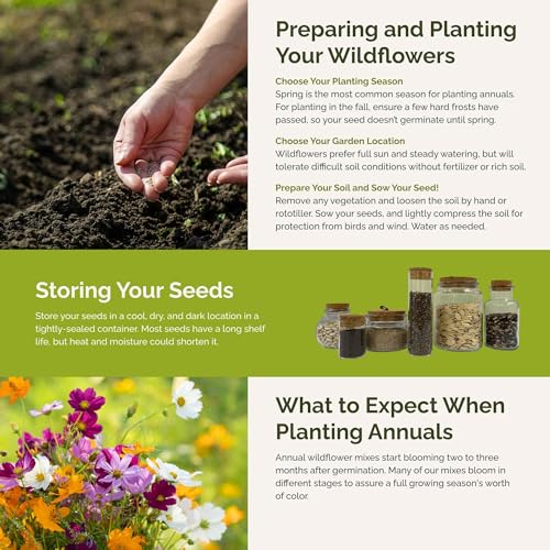 All Annual Wildflower Mixed Seeds for Planting