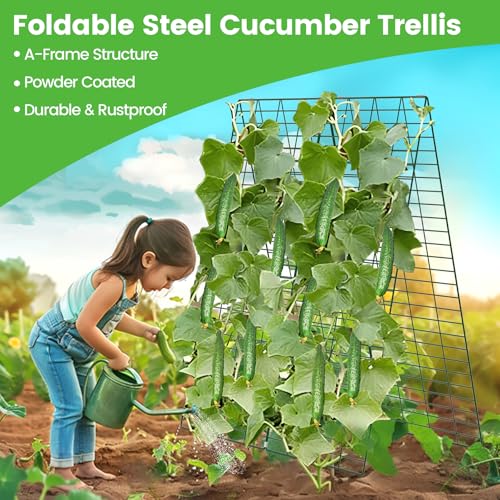 Foldable Cucumber Trellis 48" L x 34" W (48" L x 34" W)