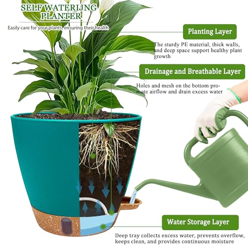 2 Pack 8 inch Plant Pots (Turquoise / 8 inch)
