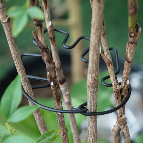 4.13x2.95in Monstera Plant Stem Support (Black / 4.13IN*2.95IN)