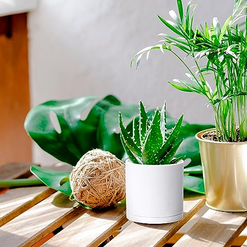 2 Pack White Plastic Planters with Saucers (4")