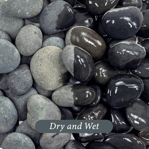 River Rocks 40lbs Black Pebbles for Indoor Plants