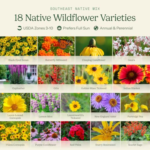 Native Southeast Wildflower Seed Mix (1 Ounce / Native Southeast)