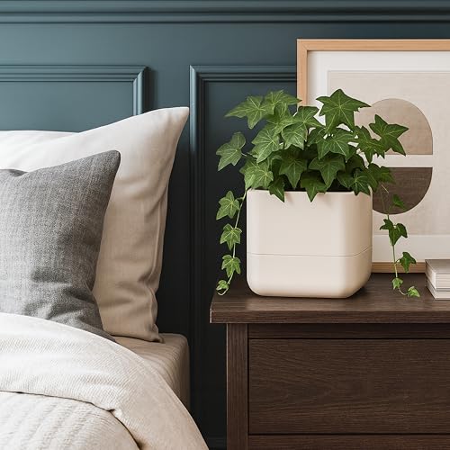 6.5 Inch Wall Mounted Self (6.5" (2 Pack) / Oatmeal)