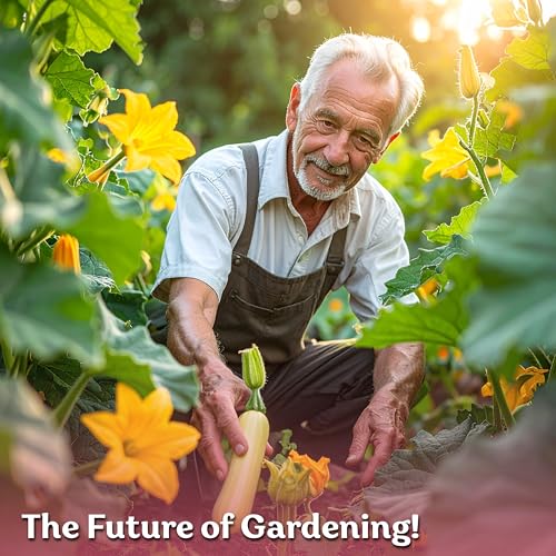75 Straight Neck Squash Heirloom Vegetable Seeds