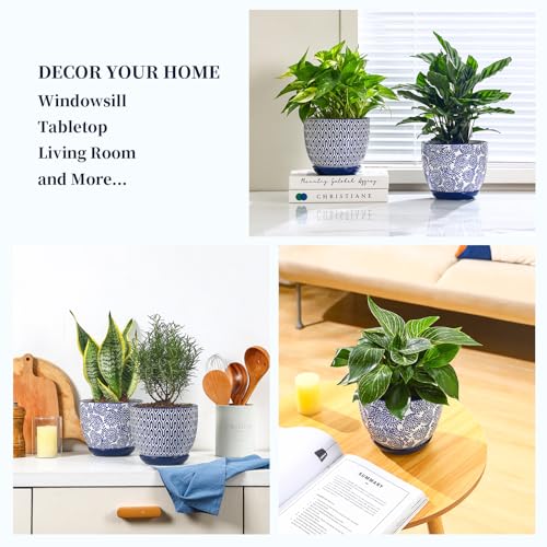Ceramica Plant Pots (Vintage Blue / 6.5 Inch, Set of 2)