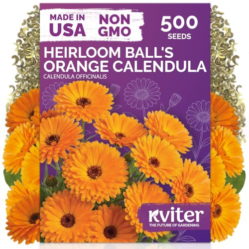 500 Ball's Orange Calendula Heirloom Flower Seeds