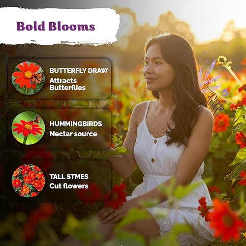 150 Mexican Sunflower Heirloom Flower Seeds