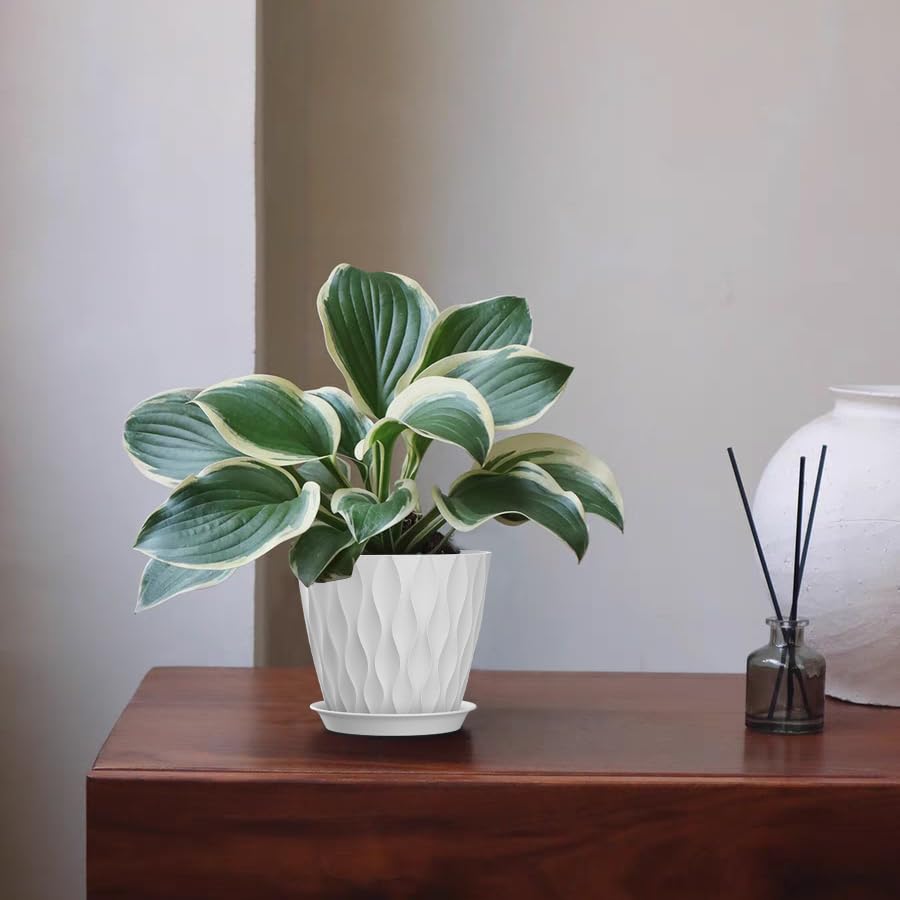 5 Inch Planter Pots (White / 5inch)