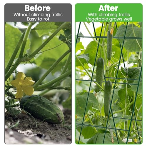 Foldable Cucumber Trellis (46" L x 18" W)