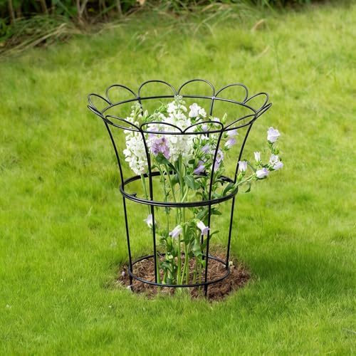 Heavy Duty Hydrangea Support (Black / 25.5"x20")