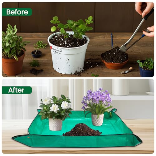 3 Packs 18 Inch Large Bonsai Training Pots with Drainage Trays (3pcs/18x14in)