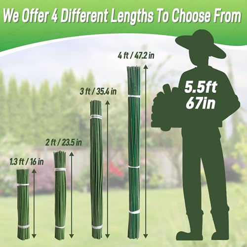 50Pcs 2ft Bamboo Sticks for Indoor Outdoor Plants (50 Count)
