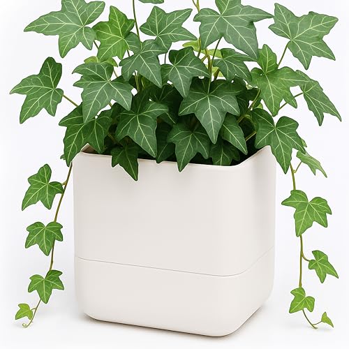 6.5 Inch Wall Mounted Self (6.5" (1 Pack) / Oatmeal)