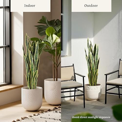 3ft 2PCS Artificial Snake Plant (2 Count)