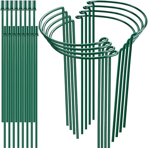 8 Pack 32 or 16 inch Adjustable Plant Support Stakes (10"W x31.8"H)