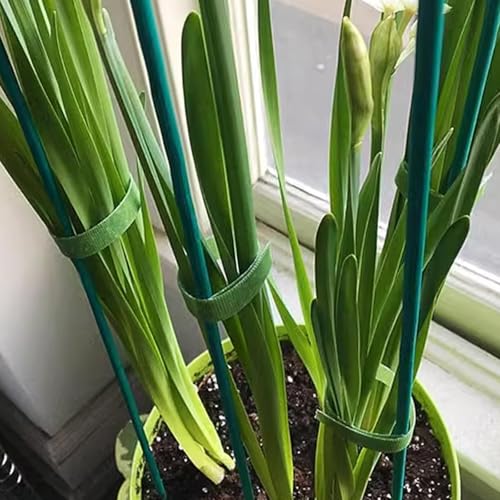 100 Pieces Green Bamboo Plant Stakes with 100 Pieces Orchid Clips and 100 Metallic Twist Ties for Supporting Stems Vines Stalks Grow Upright (300 Count)