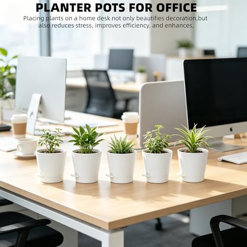 5 Pack 5 Inch African Violet Pots Self Watering (White / 5 inch 5 pcs)