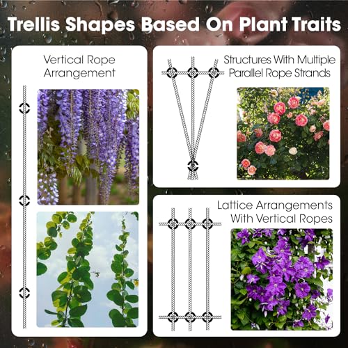 Wire Trellis Kit for Climbing Plants Outdoor 10 Set Wall Mounted Trellis with 53Ft 1 (10 Count)