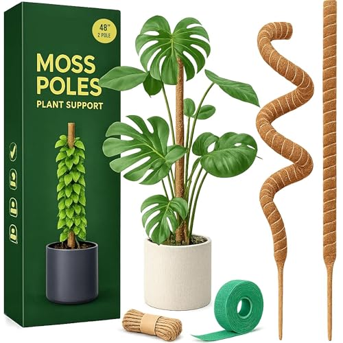 Moss Pole Monstera Plant Support (2-Pack (48 in))