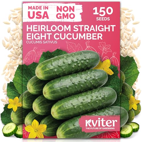 150 Straight Eight Cucumber Heirloom Vegetable Seeds