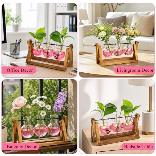 Plant Terrarium Kit with Wooden Stand 3 Gradient Pink Bulb Vases (Pink)