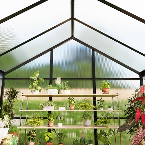 6 x 8 FT Greenhouse (Black / 6x8FT)