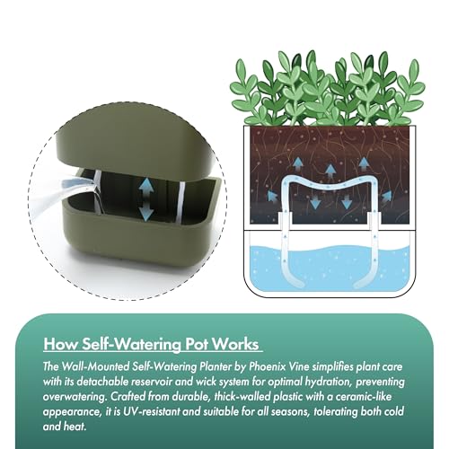6.5 Inch Wall Mounted Self (6.5" (2 Pack) / Olive)