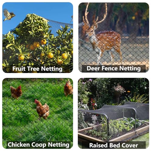 10x10ft Bird Netting