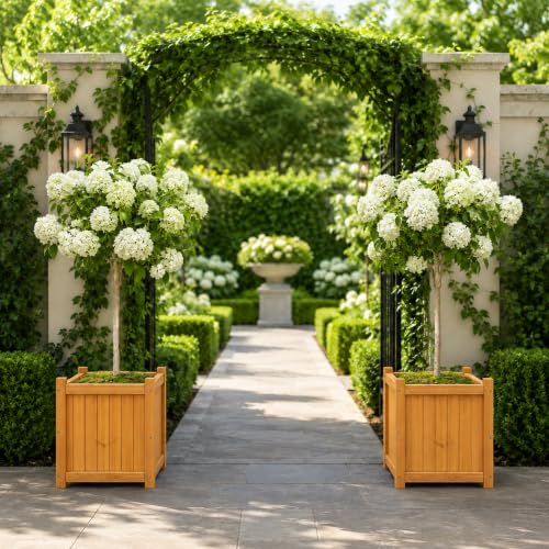 2 Pack 16" Square Fir Wood Planter Boxes with Drainage Holes (Square Planter Boxes-natural Fir Wood Color)