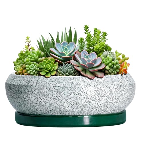Succulent Planters 10 Inch (10 Inch / Blackish Green-white)