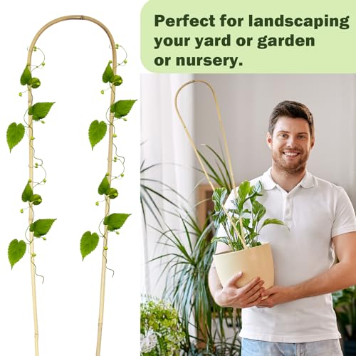 Natural U Hoops Bamboo Plants Trellis 4Ft (3 Count)