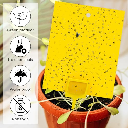 220 Pcs 7.87 x 9.84 Inch Yellow Sticky Traps for Plant Gnats Dual Sided Fruit Fly Sticky Traps for Indoor Outdoor with Twist Ties & Plastic Holders for Insect (7.87 x 9.84 Inches)