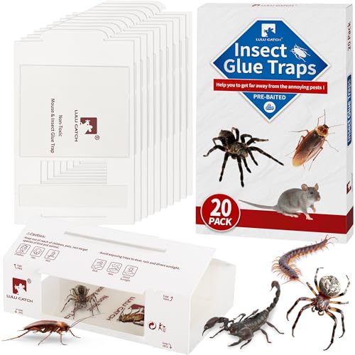 Mouse Traps 20Pack Pre (20 Pack)