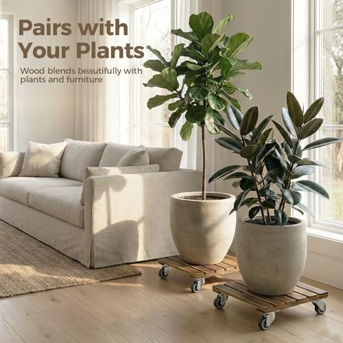 Plant Caddy 12 Inch Wood Dolly with Wheels 2 Pack (Brown / 12inch-Square-2 pack)