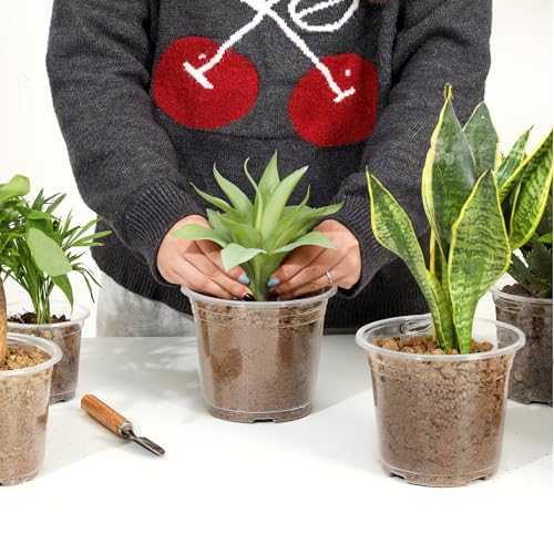 60 Pack 6 Inch Clear Nursery Pots with Drainage Hole (6 Inch)