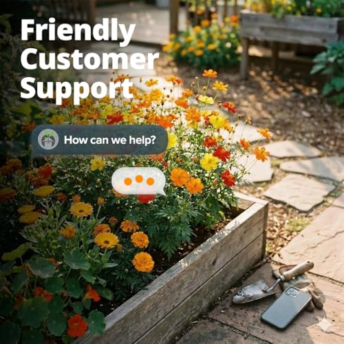 Cosmos Bright Lights Mix 5000 Flower Seeds Cosmos sulphureus