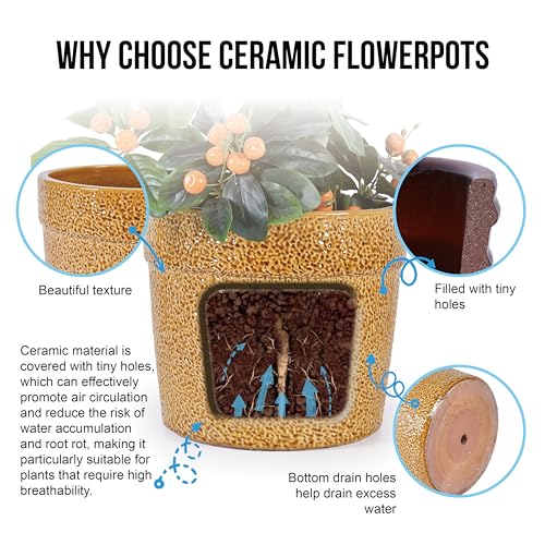Ceramic Plant Pots Set of 3 Size (Antique Yellow)