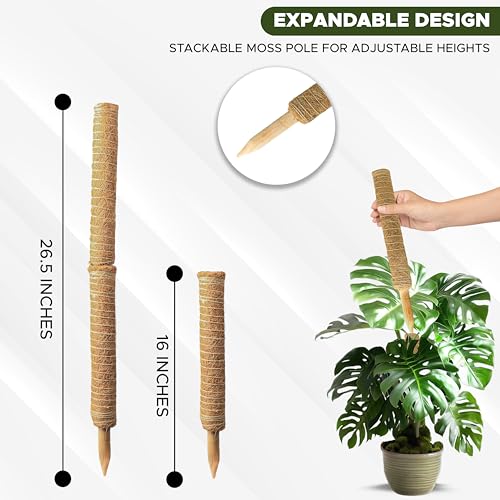 26.5" (2 Pack -16") Stackable Moss Pole for Monstera Plant Support | Moss Pole Sticks for Indoor Plants | Bamboo Plant Stakes,Climbing,Potted,Pothos| Philodendron & Creepers with Tie Accessory (16 Inches - (2 PCS))