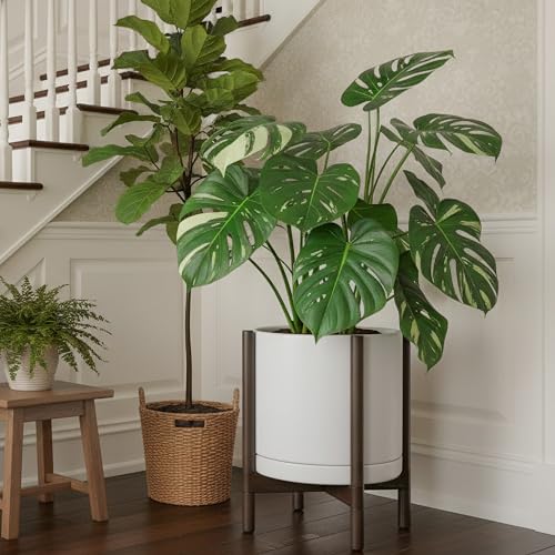 Ceramic Pot with Walnut Wood Stand (14 Inch / White Pot + Walnut Color Stand)