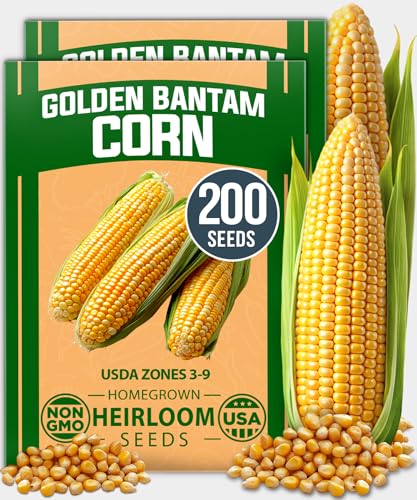 Golden Bantam Sweet Corn Seeds