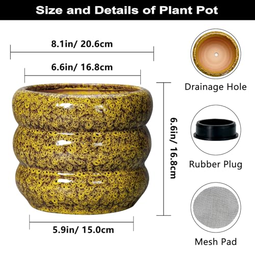 Ceramic Planter (8 Inch / Leopard Print Yellow)