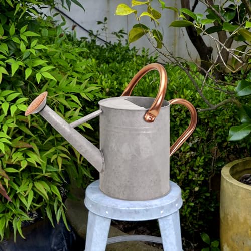 Metal Watering Can with Removable Spout (Zinc / 1 Gallon)