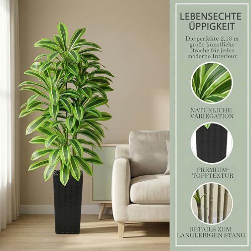 Artificial Dracaena Tree (Light Green – Black Pot / 7FT)