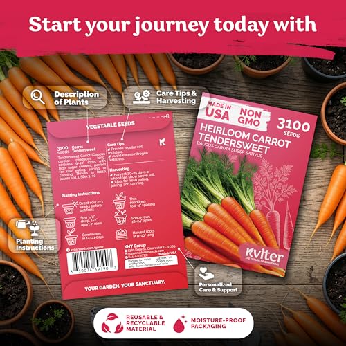 3 100 Tendersweet Carrot Heirloom Vegetable Seeds